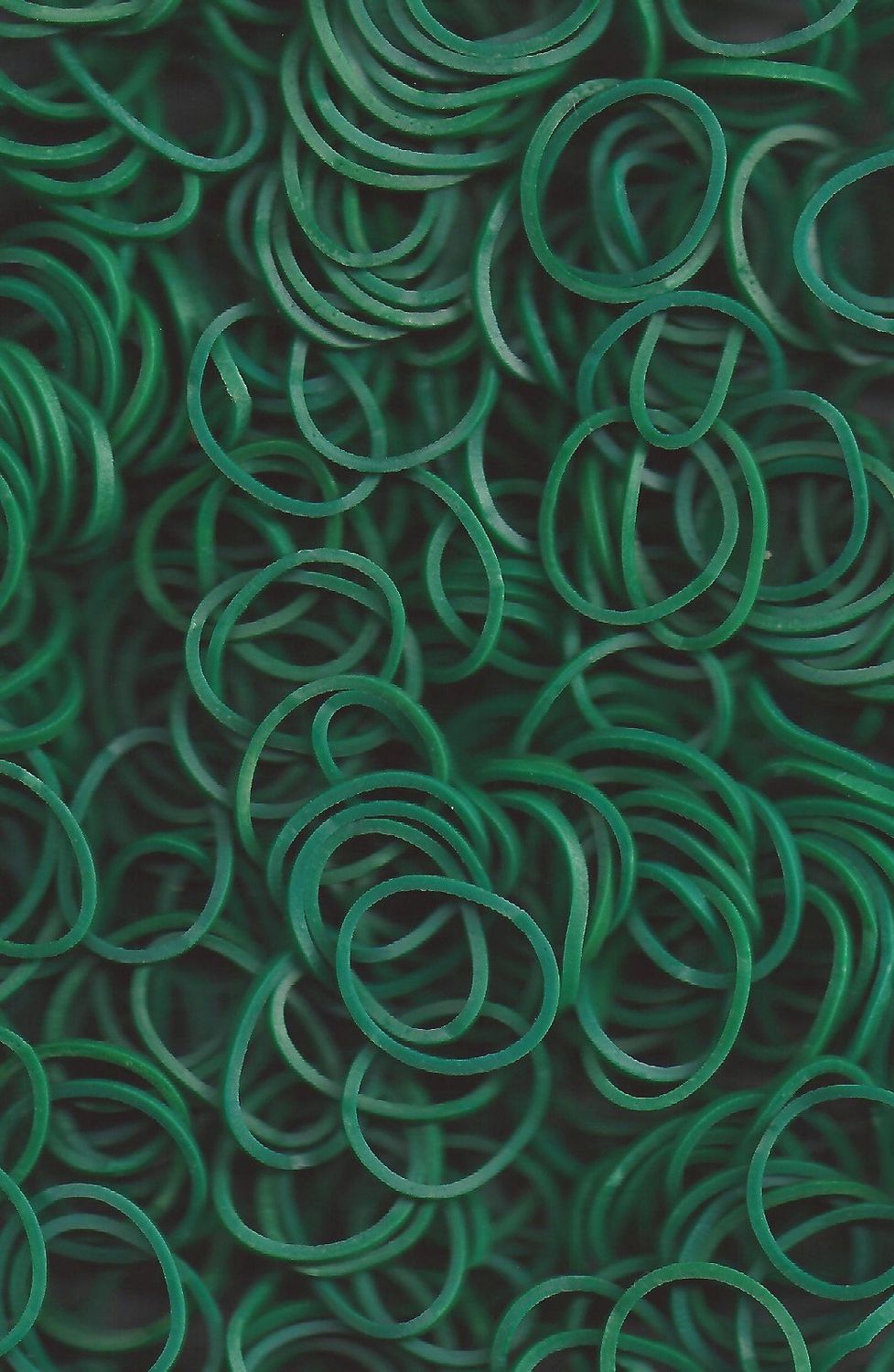 Rainbow Loom Elastics - Dark Green