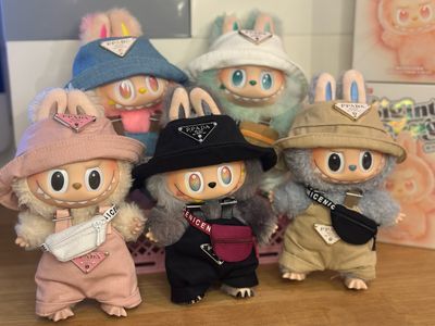 Labubu Fashion