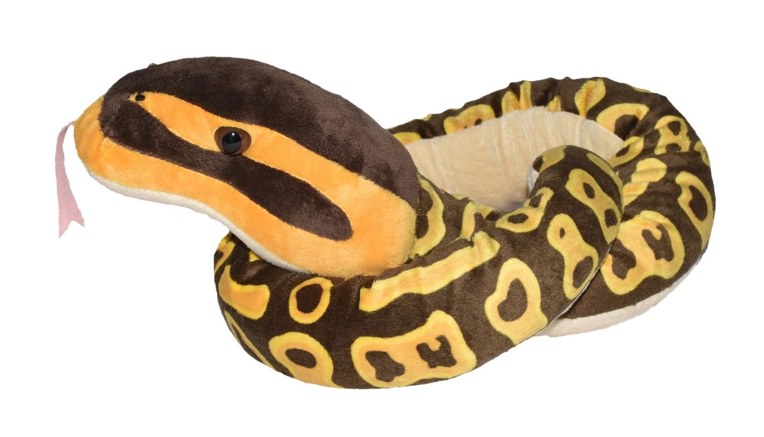 54" Snake - Ball Python