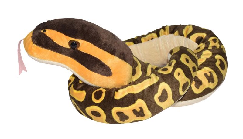 54" Snake - Ball Python