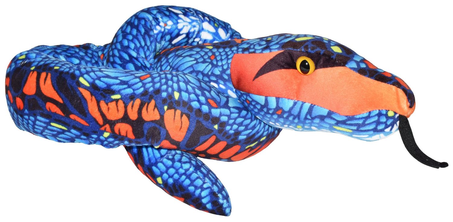 54" Snake - Blue-Orange