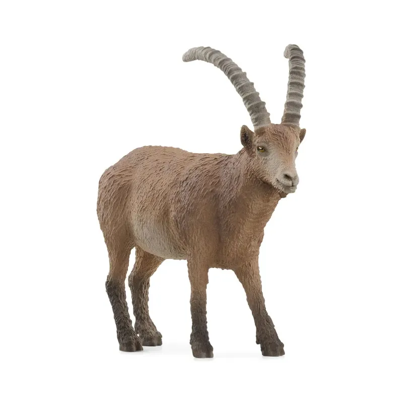 Wild Life - Ibex