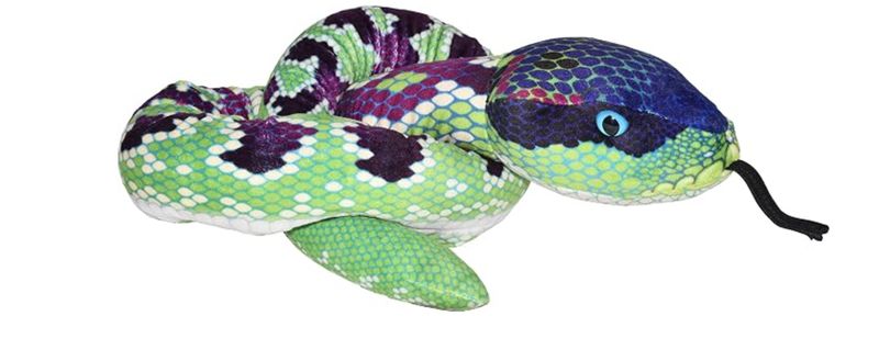 54" Snake - Green Purple