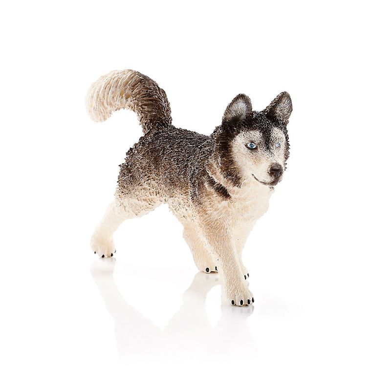 Farm World - Husky
