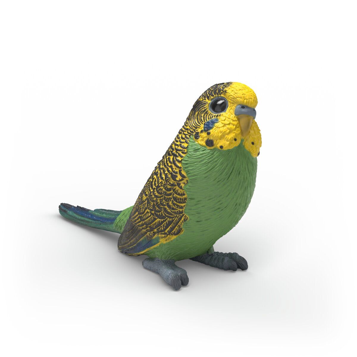 Farm World - Budgie