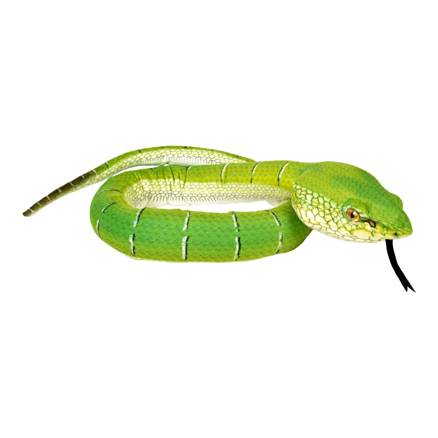 54" Snake - Borneo Pit Viper