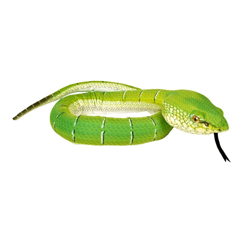 54" Snake - Borneo Pit Viper