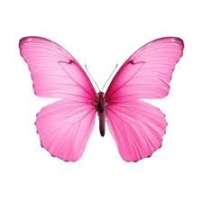 Mermaid Flutter Braids - Butterfly
