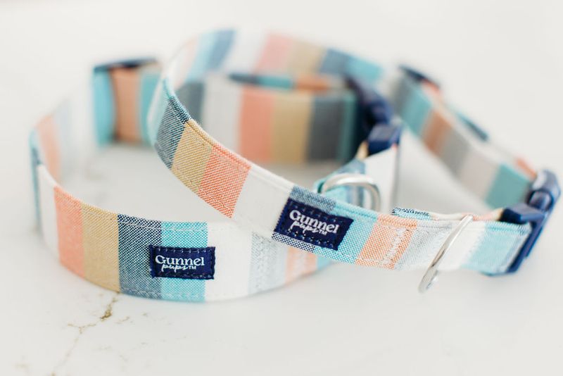The Long-Lasting Saltwater-Friendly Dog Collar - Sunrise
