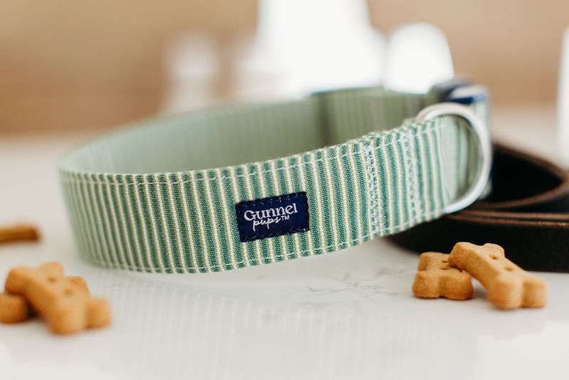 The Long-Lasting Saltwater-Friendly Dog Collar - Seaweed
