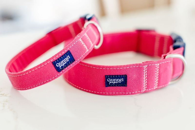 The Long-Lasting Saltwater-Friendly Dog Collar - Hot Pink Sunset