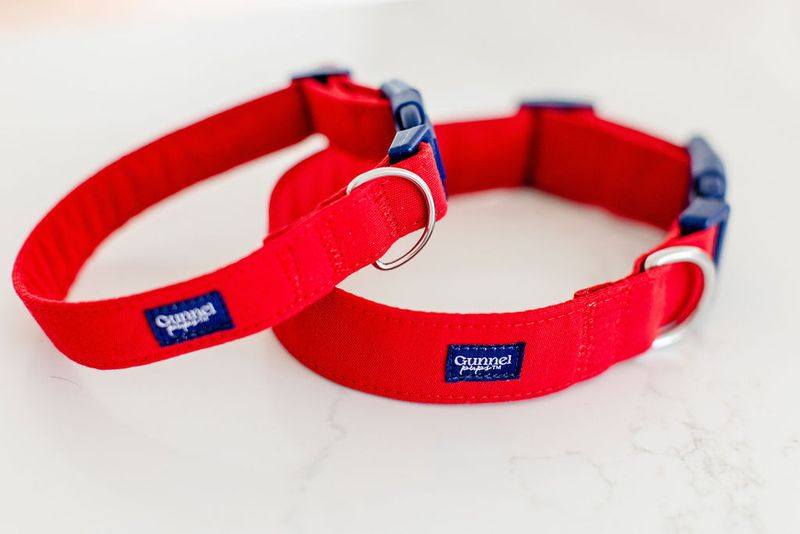 The Long-Lasting Saltwater-Friendly Dog Collar - Red Right Return