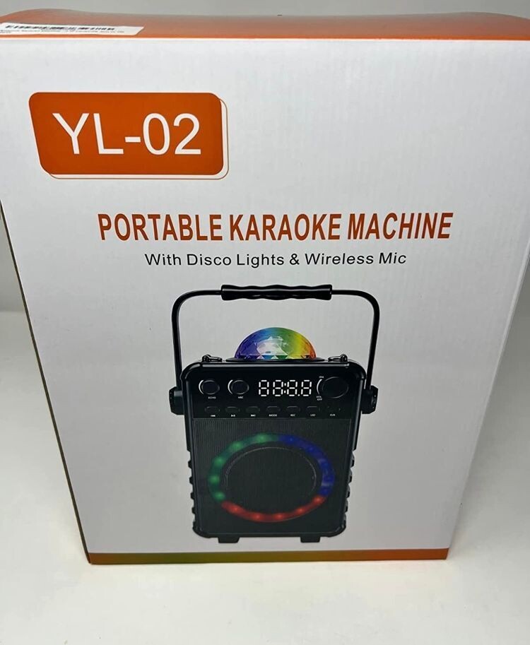 karaoke machine two microphones and one disco ball to lighten up the fun
