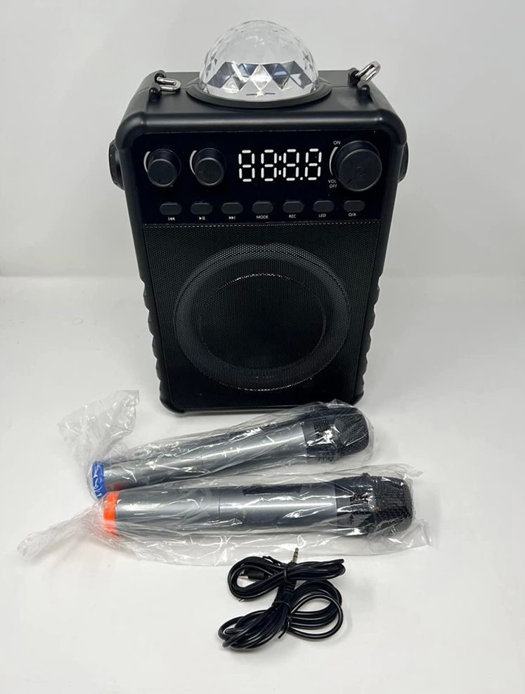 karaoke machine two microphones and one disco ball to lighten up the fun