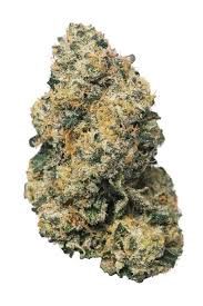 Sherbanger - Premium THCa Flower