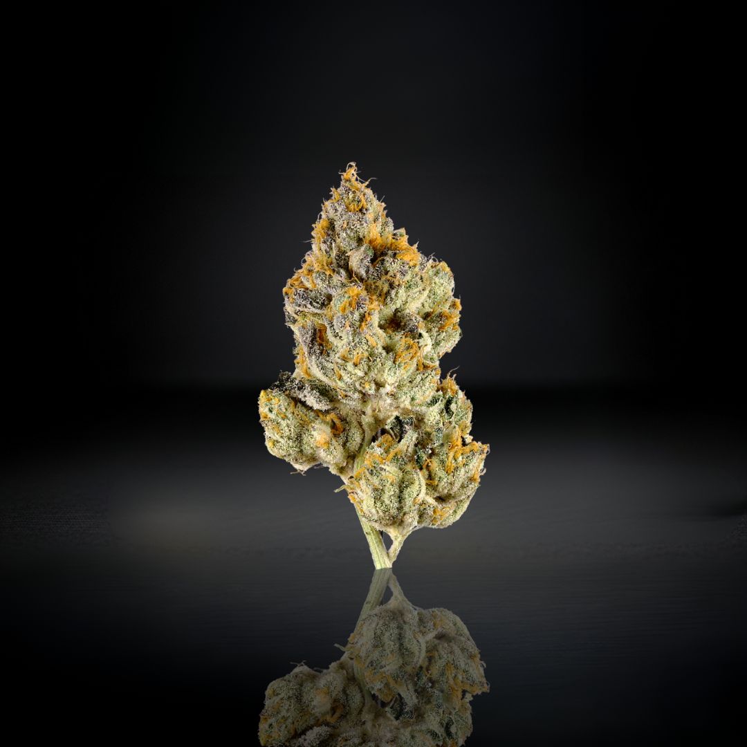 White Tahoe Cookies -Top Shelf THCa Flower