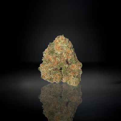 Blueberry Haze -Top Shelf THCa Flower