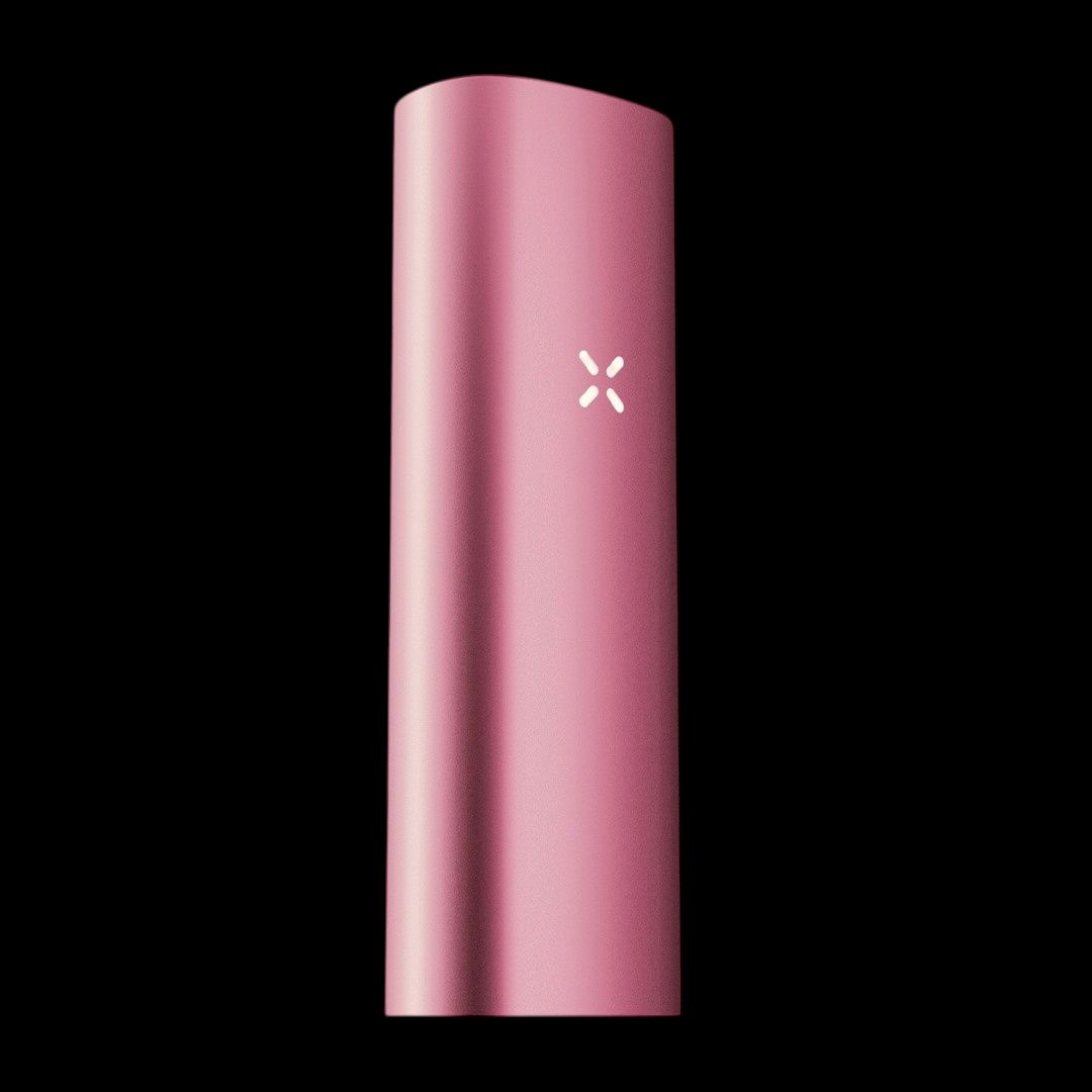 PAX Mini 2, Color: Pink Crush