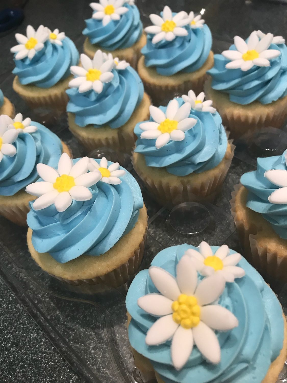 Daisy Flower Cupcakes