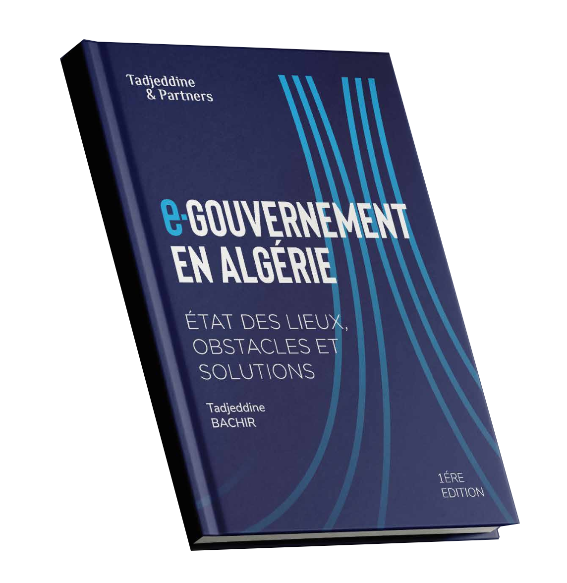 e-Gouvernement en Algérie : état des lieux, obstacles et solutions
