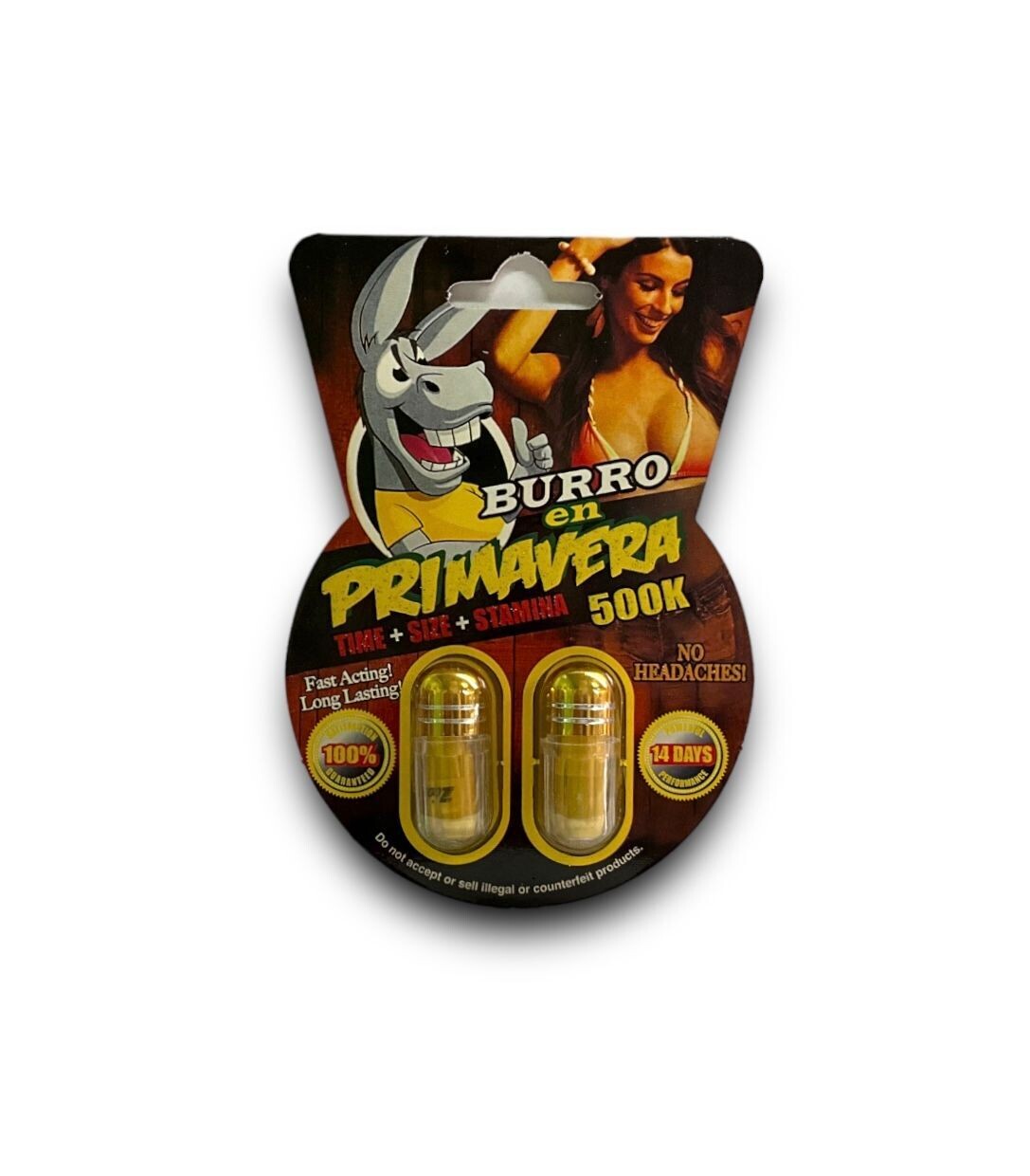 BURRO EN PRIMAVERA