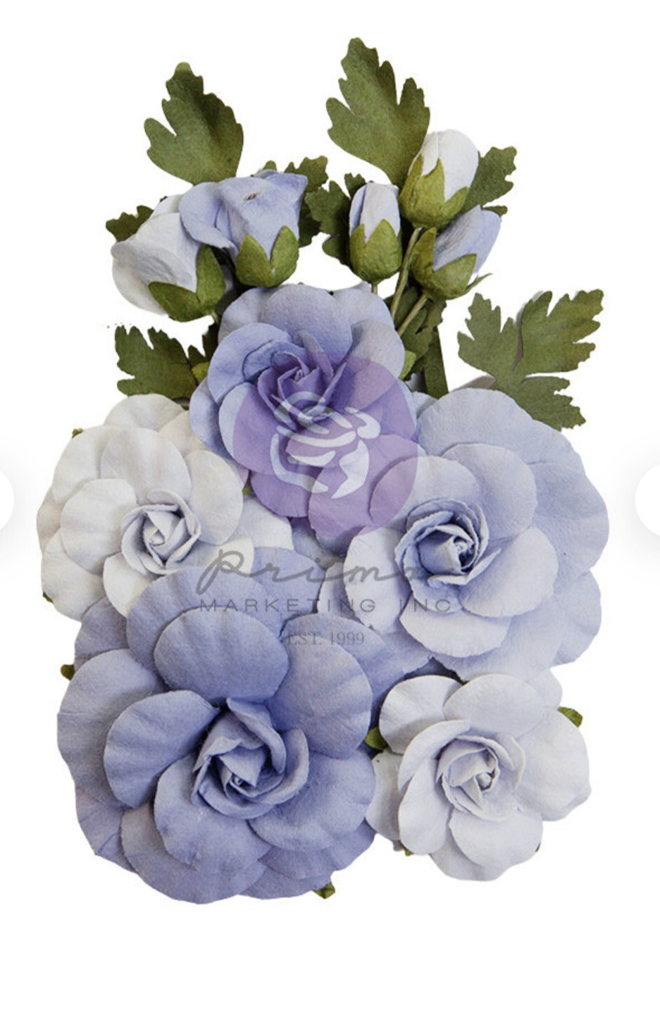 The Plant Department Sweet Blue 12pc Flowers