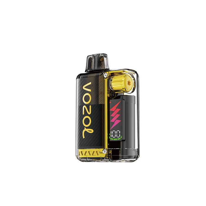 VOZOL VISTA PLUG STARTER KIT MANGO ICE 20MG (10000 CALADAS)