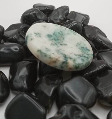 AGATE DENDRITIQUE / MERLINITE