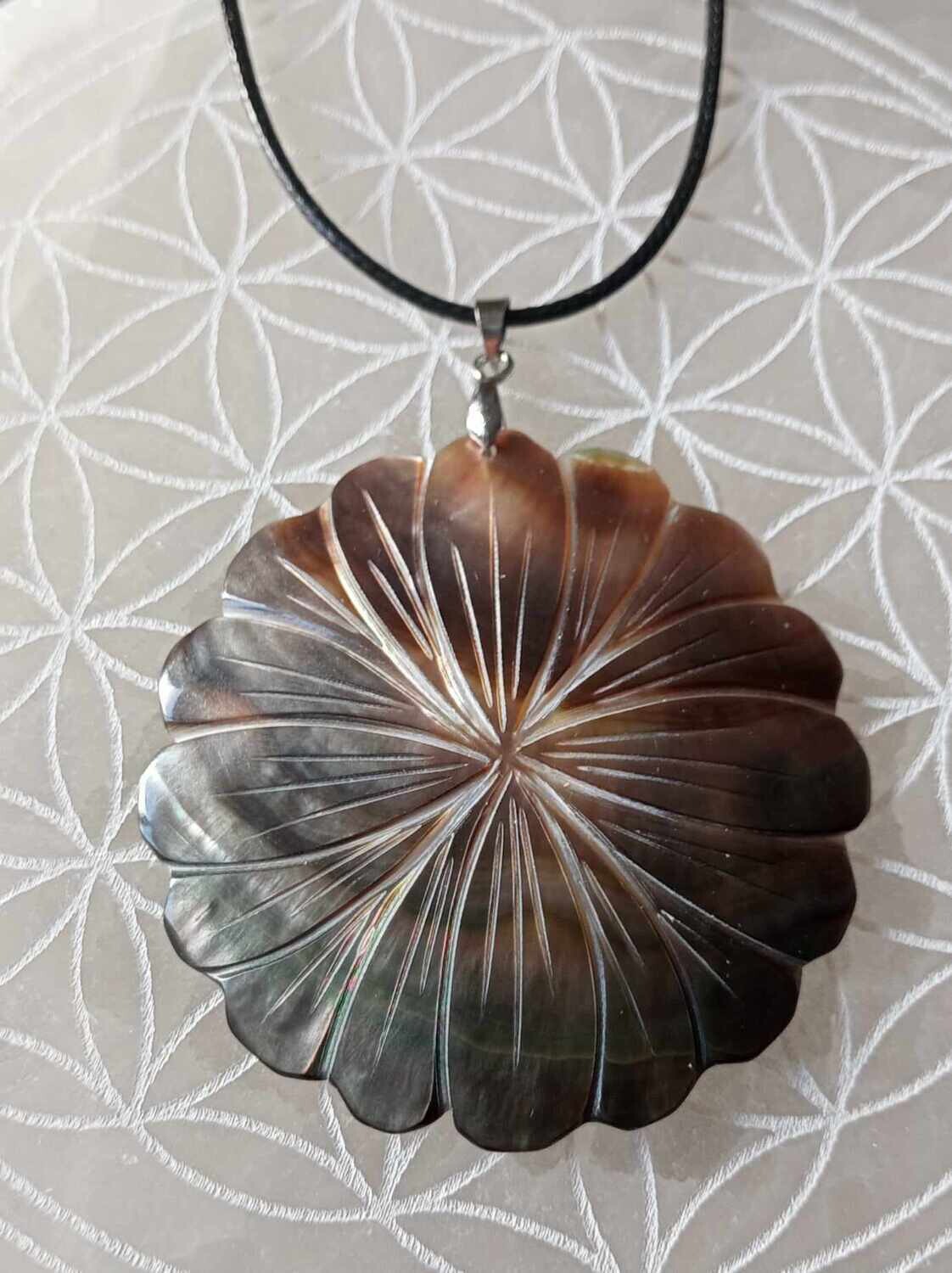 NACRE D&#39;ABALONE GRISE