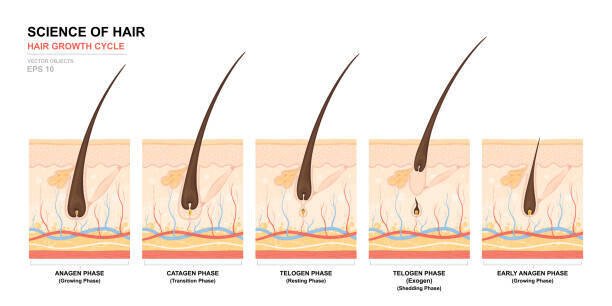 MMGTC Minoxidil 5%/Melatonin 0.1%/GHK-CU 0.5%/Tretinoin 0.025%/Caffeine 2% 30ml SCALP FOAM with Service Fee t SOUTH LAKE PHARMACY