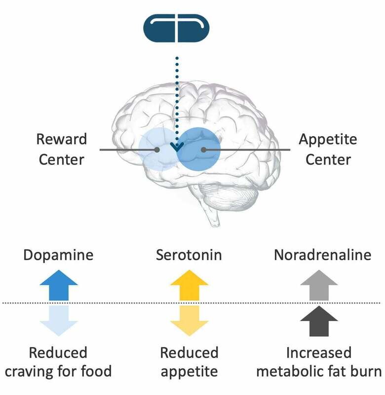Tesofensine ORAL CAPSULES with Service Fee  HALLANDALE PHARMACY
