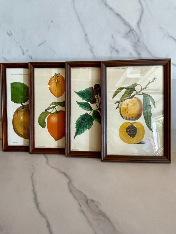 Pomology Print Set