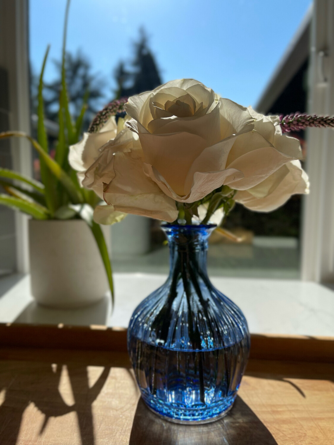 Cobalt Blue Glass Vase