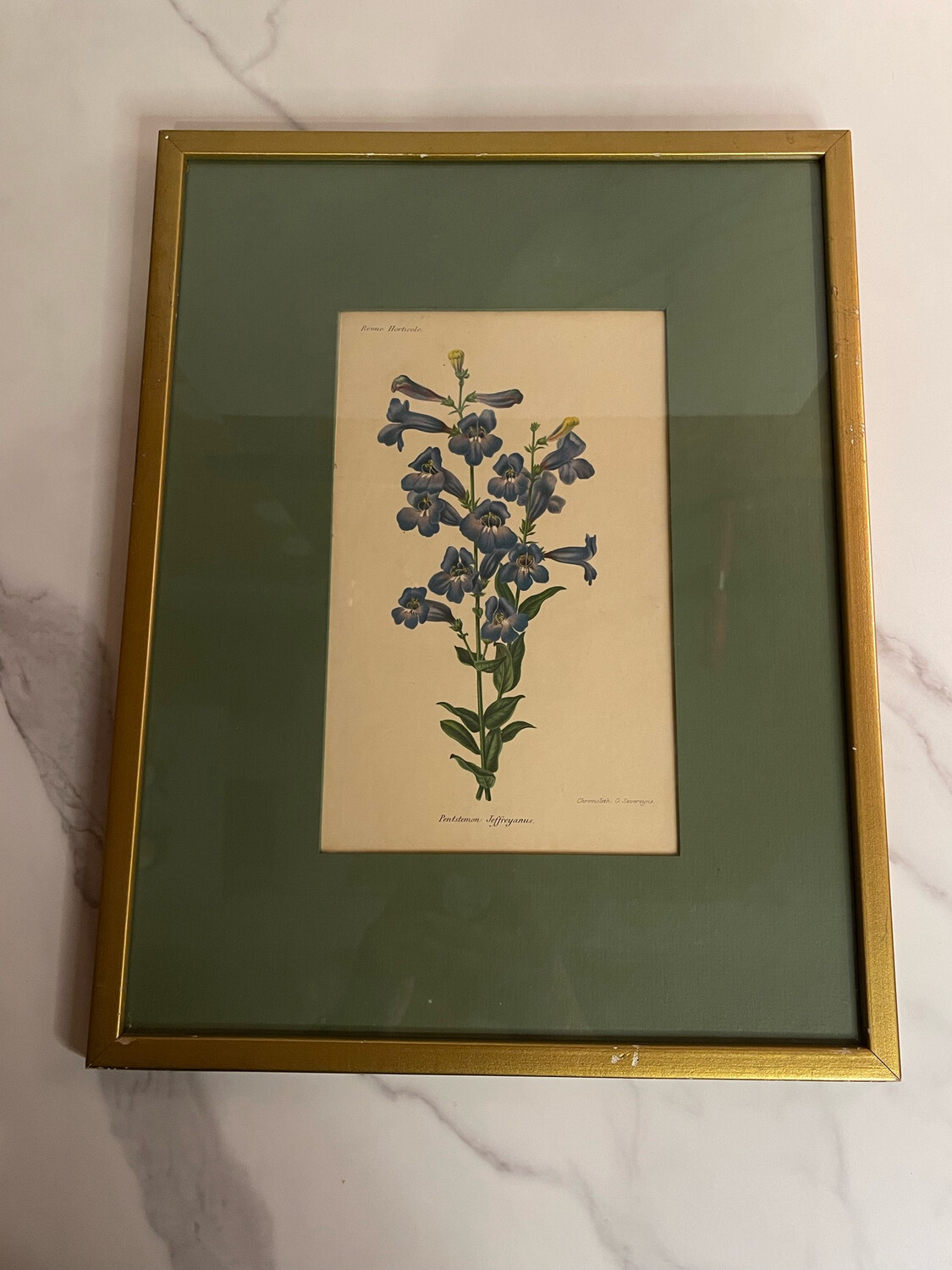 Framed Horticulture Print