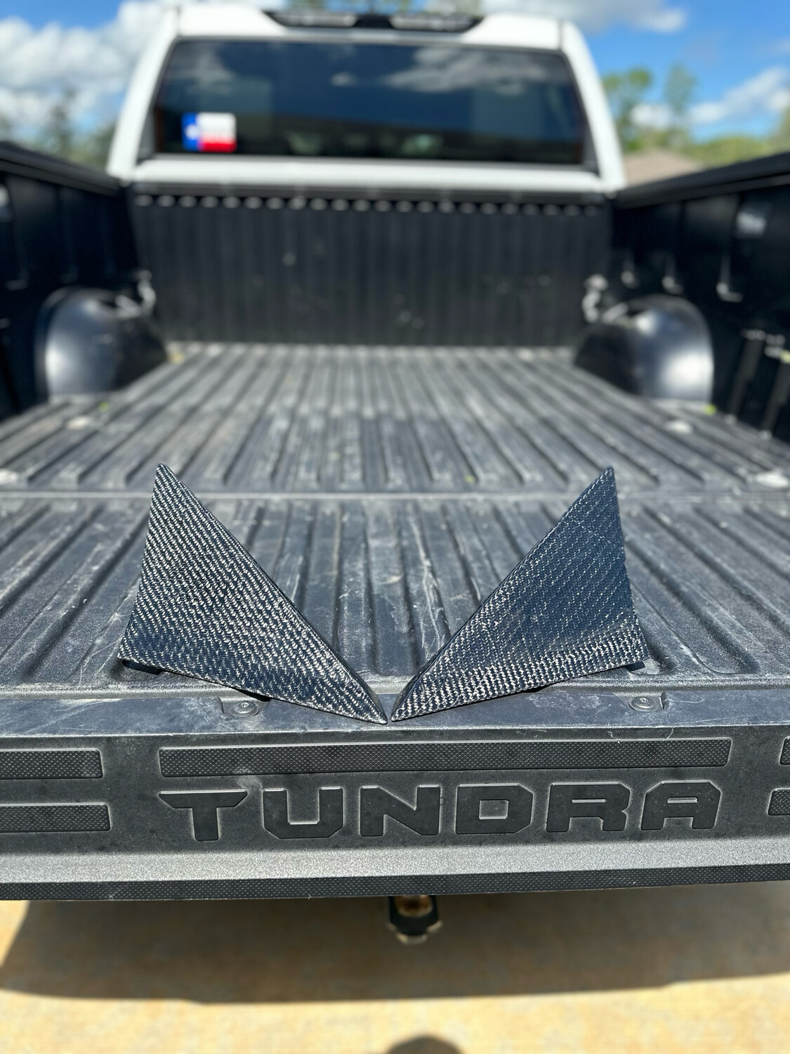 99-04 Mustang Carbon Mirror Deletes