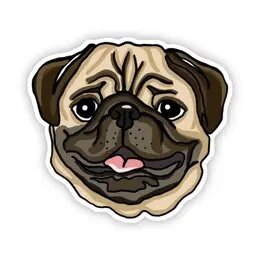 Pug Sticker