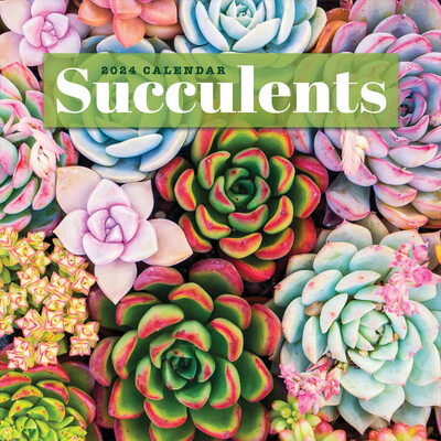 2024 Succulents Wall Calendar