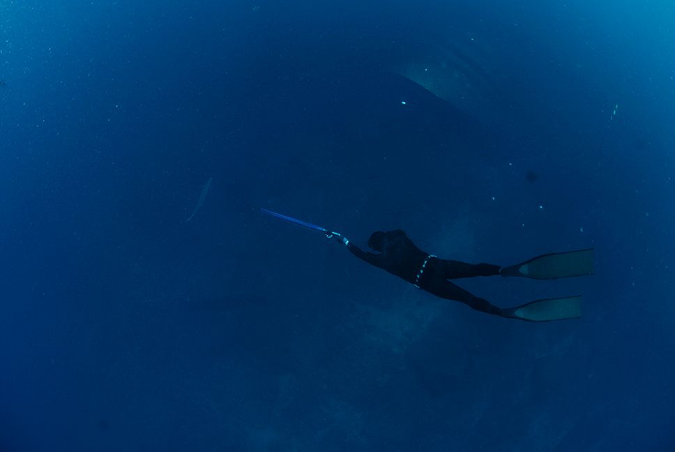 Rob Allen Snapper Roller