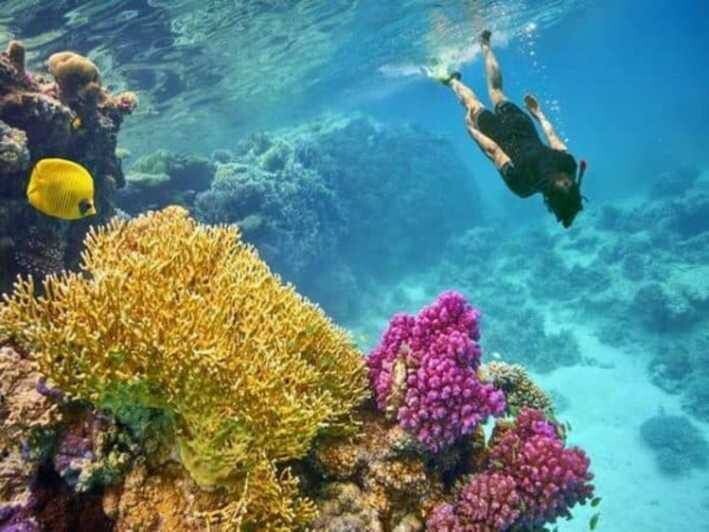 Paradies Insel ab 40€