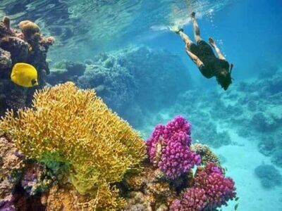 Paradies Insel ab 40€