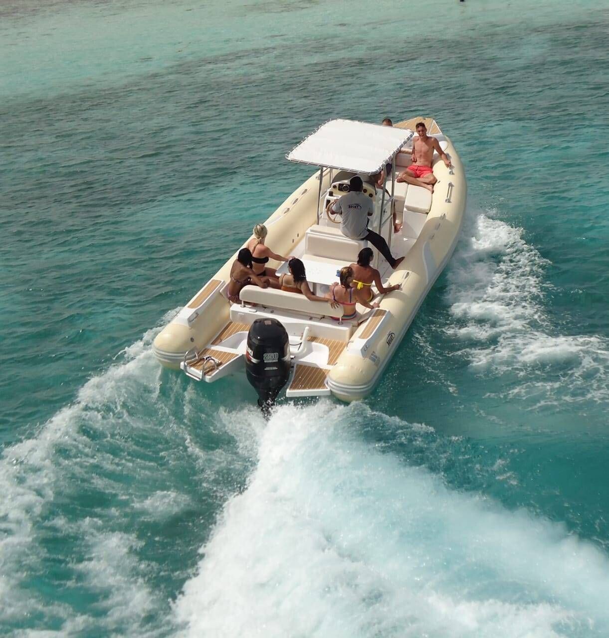 Speedboot - Dolphin ab 60€