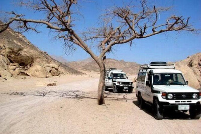 Ab Marsa alam Mega Safari 40€