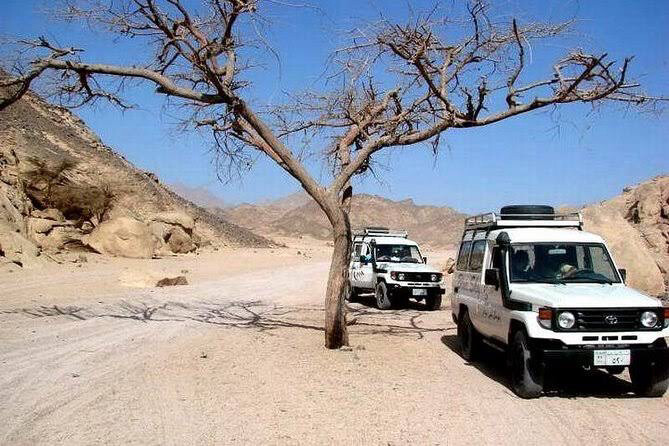 Ab Marsa alam Mega Safari 40€