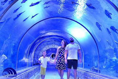 Hurghada Grand Aquarium ab 35€