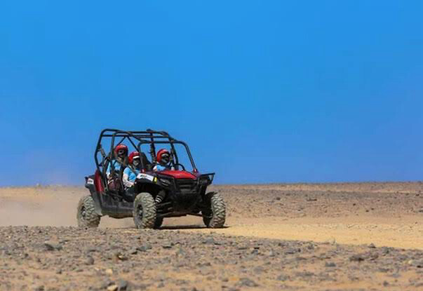 Buggytour ab 95€