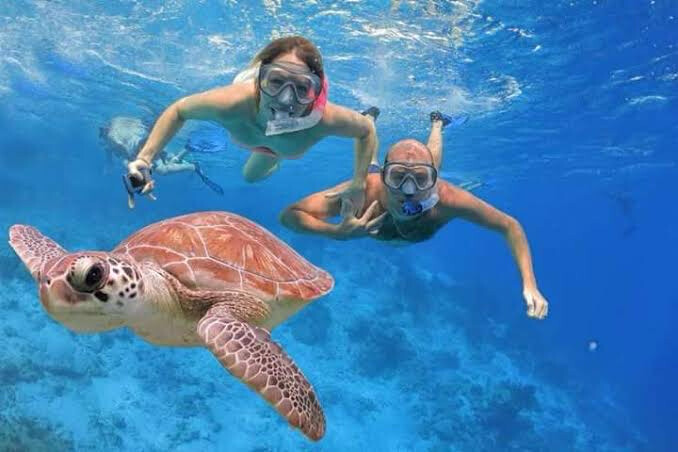 Abu Dabbab & Schildkröten 80€
