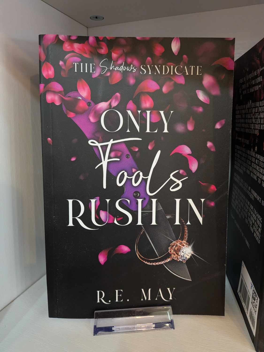 Local Author - R.E. May - Book #2