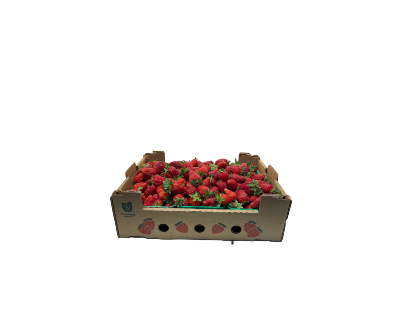 6 Quart Strawberry Flats #1
