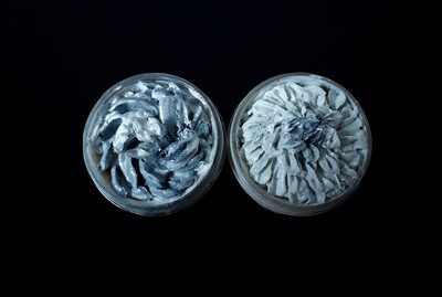 Mr &amp; Mrs - Shea &amp; Cocoa butter