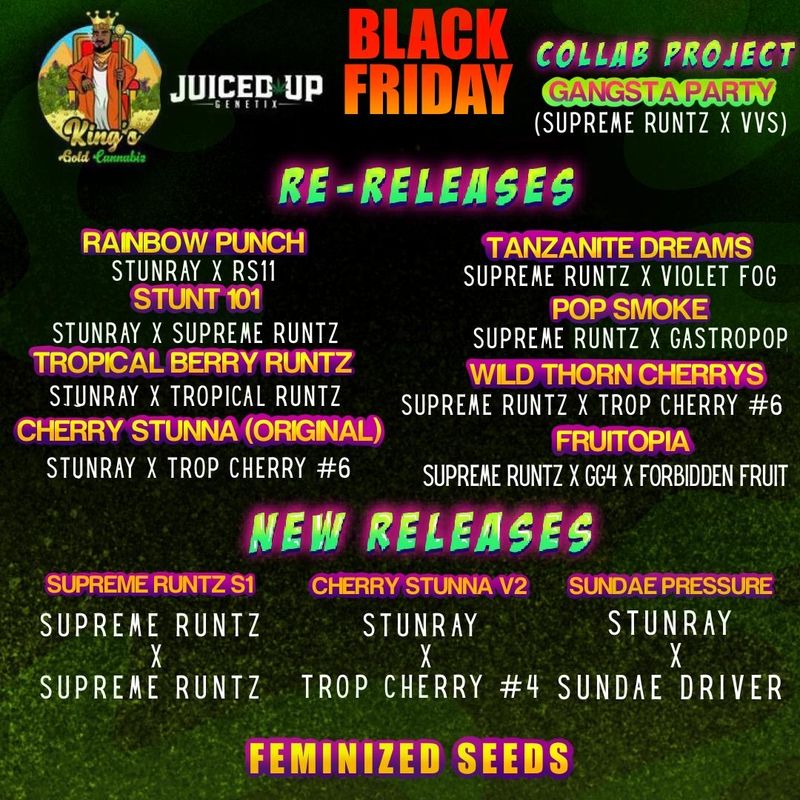 GANGSTA PARTY - (7) seeds